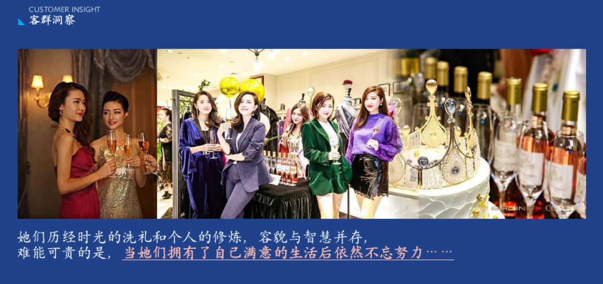 茅台蓝莓果酒品牌年度推广策略提案_第8页