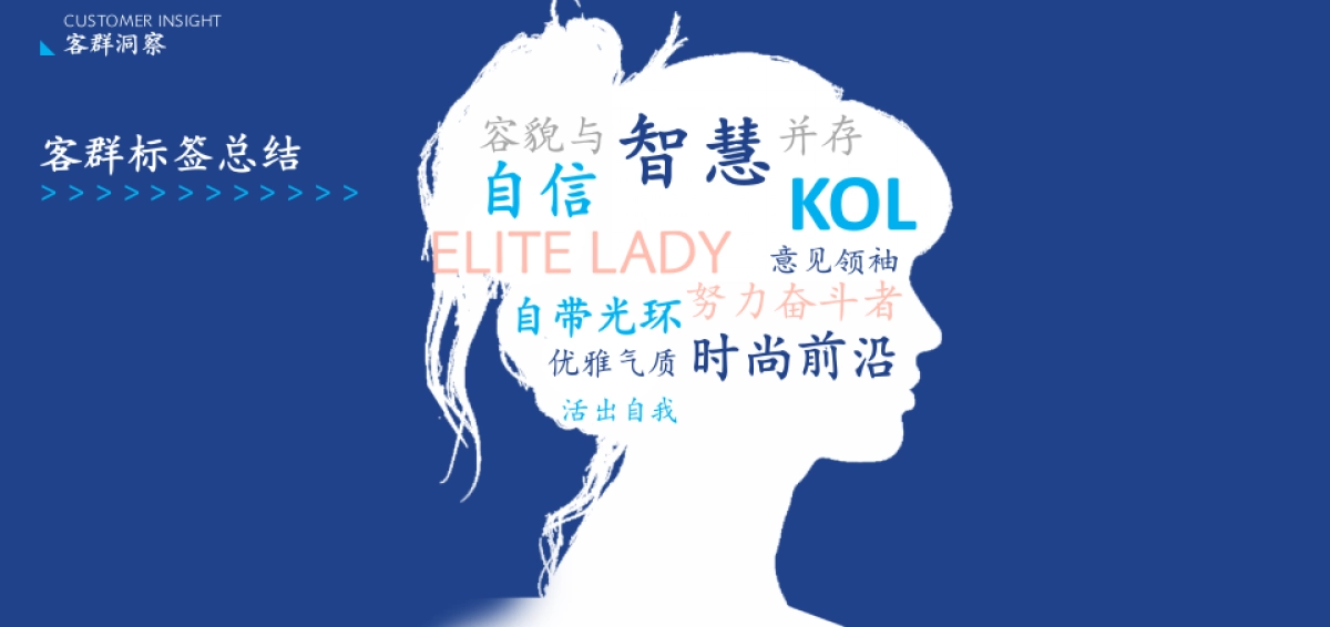 茅台蓝莓果酒品牌年度推广策略提案_第9页