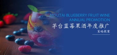 茅台蓝莓果酒品牌年度推广策略提案