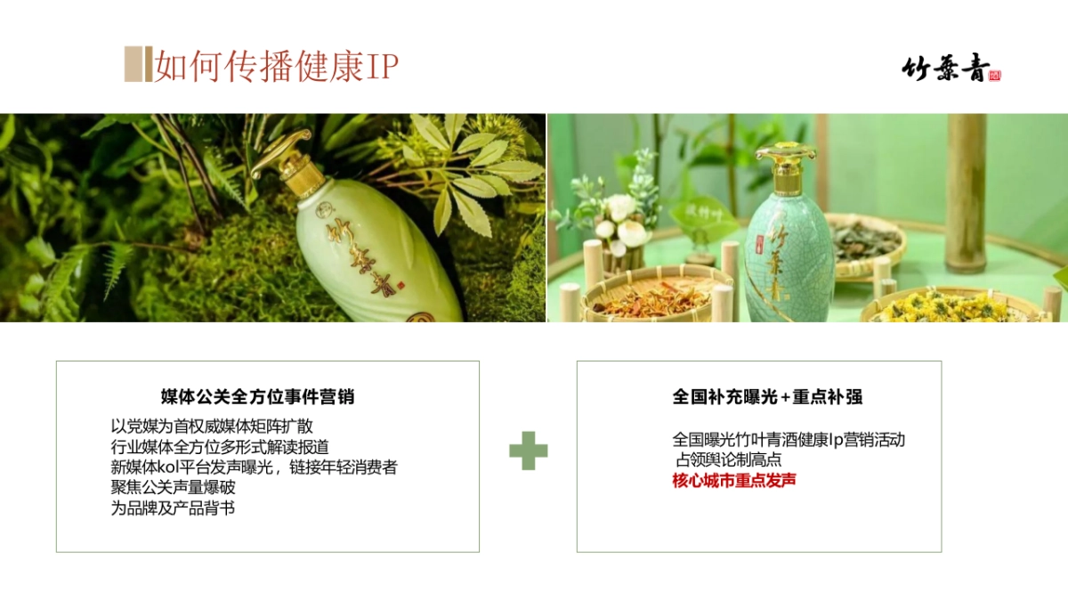 千载竹韵 ·药蕴匠心2024竹叶青中药基地探源之旅_第6页