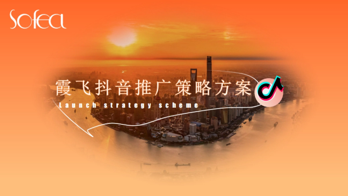 霞飞抖音推广方案_第1页