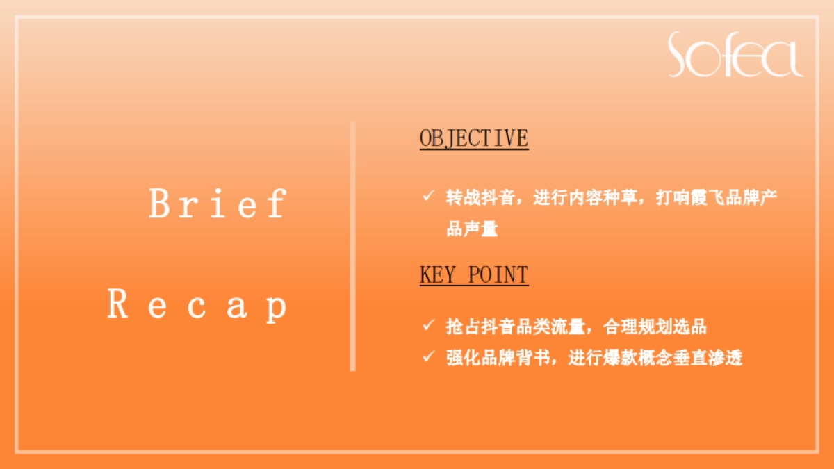 霞飞抖音推广方案_第2页