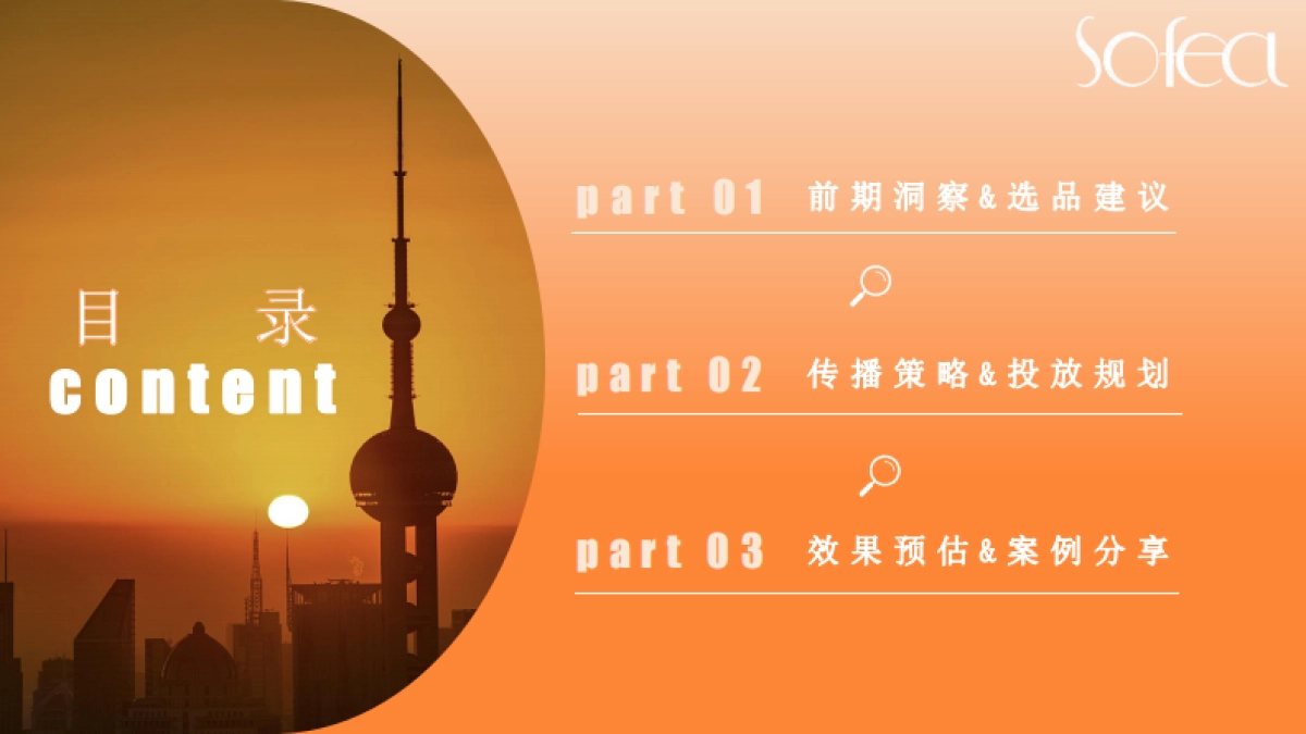 霞飞抖音推广方案_第3页