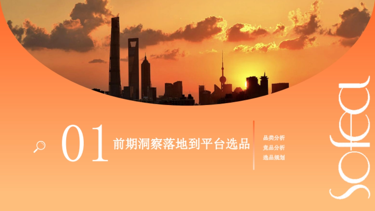 霞飞抖音推广方案_第4页