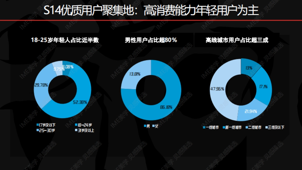 2024bilibili S14赛事招商合作方案_第10页