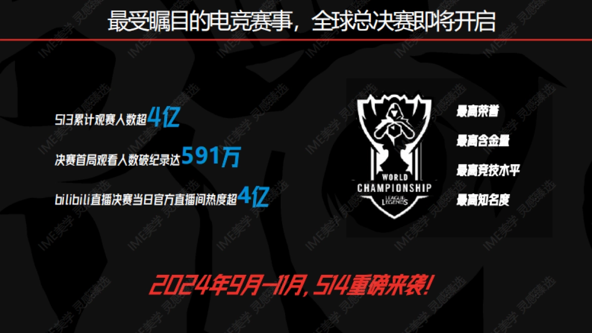 2024bilibili S14赛事招商合作方案_第6页