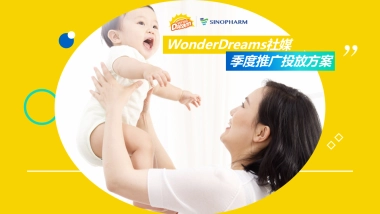 wonderdream季度推广方案