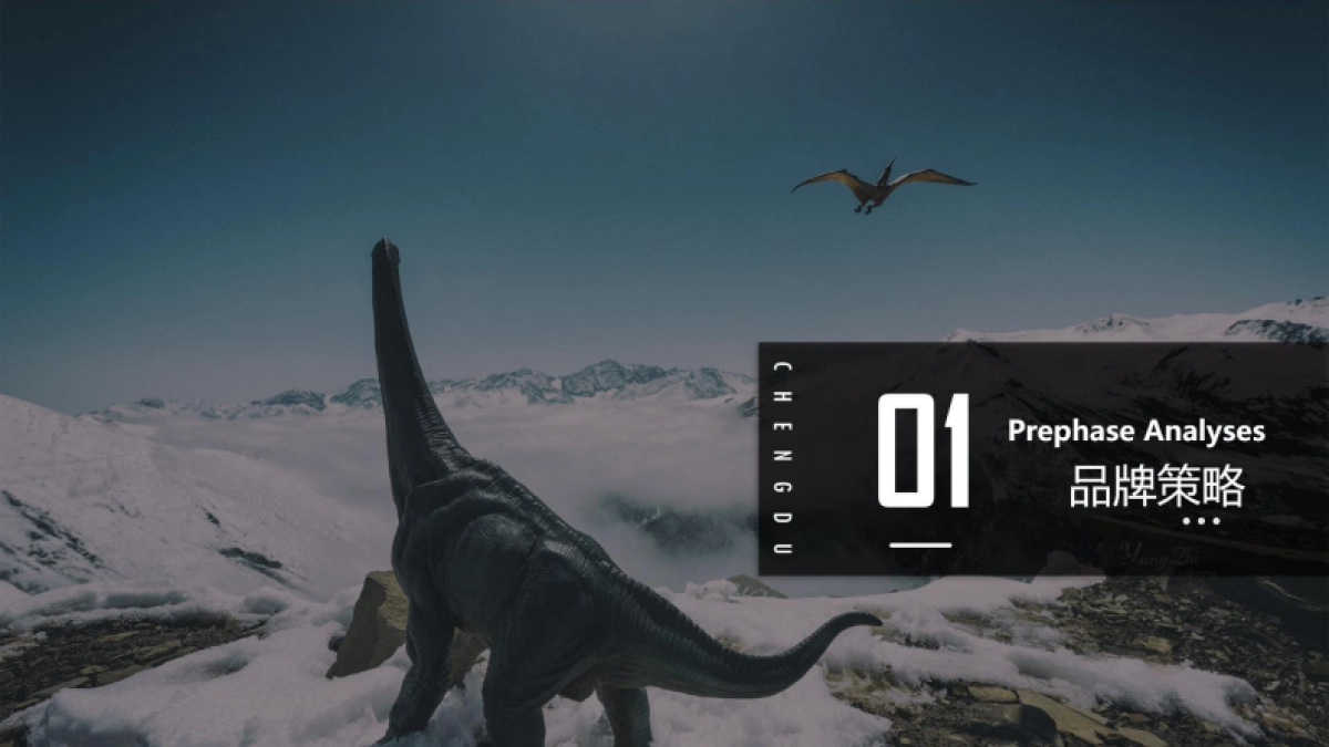 龙门镇文旅商业综合体品牌设计及应用总体方案_第3页