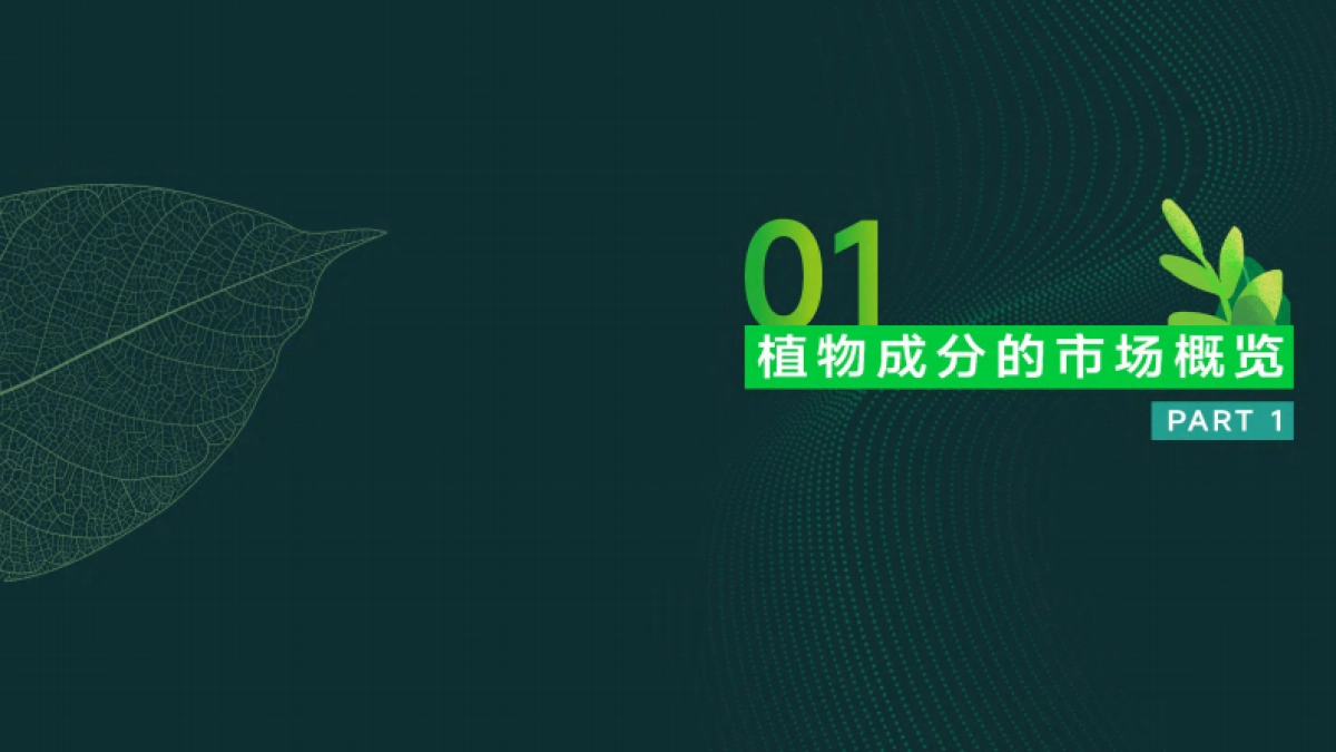 美妆头条&用户说:2024中国植物成分发展趋势-植物力量_第4页