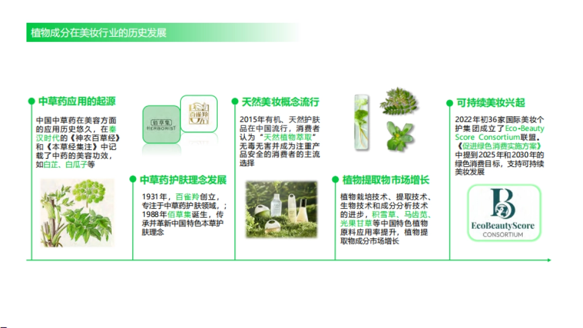 美妆头条&用户说:2024中国植物成分发展趋势-植物力量_第5页