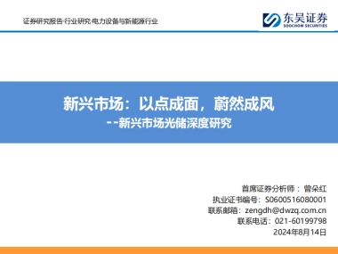 东吴证券：新兴市场光储深度研究-新兴市场-以点成面-蔚然成风