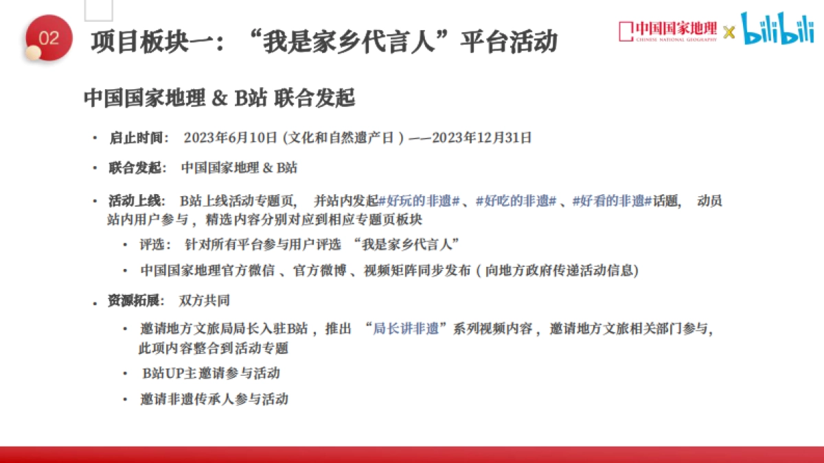 《了不起的非遗》项目方案_第10页