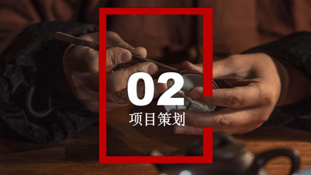 《了不起的非遗》项目方案_第7页