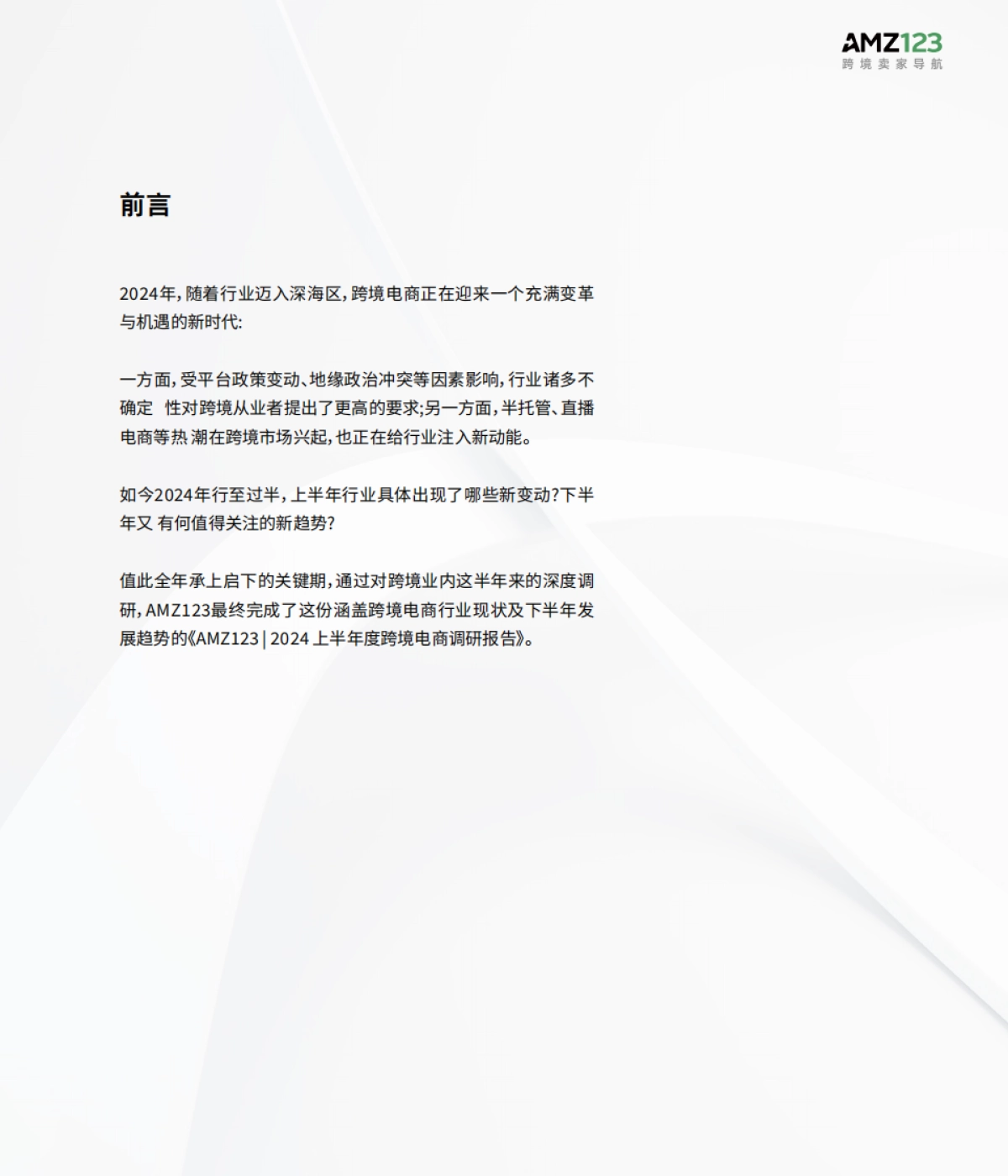 2024上半年度跨境电商调研报告_第2页