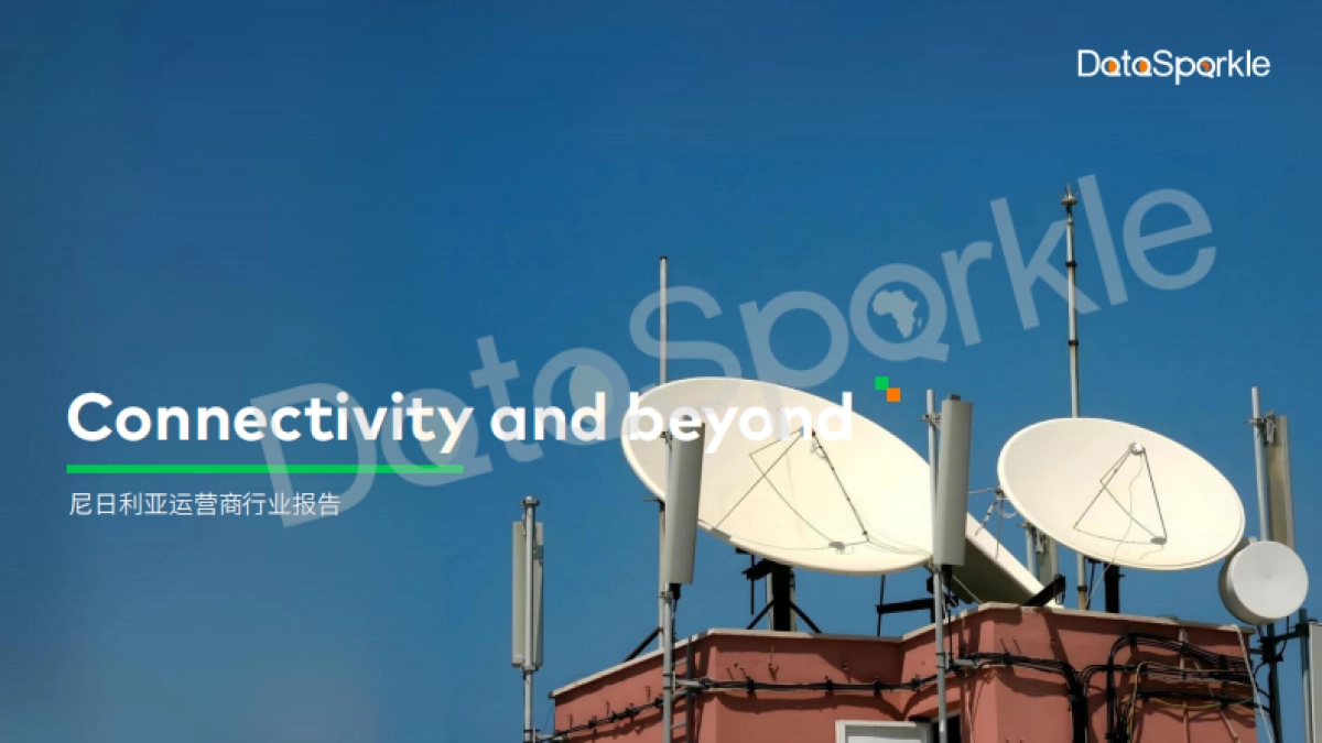 DataSparkle：2024尼日利亚运营商行业报告_第1页