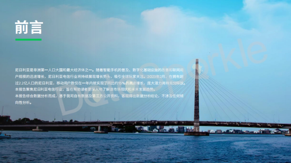 DataSparkle：2024尼日利亚运营商行业报告_第2页