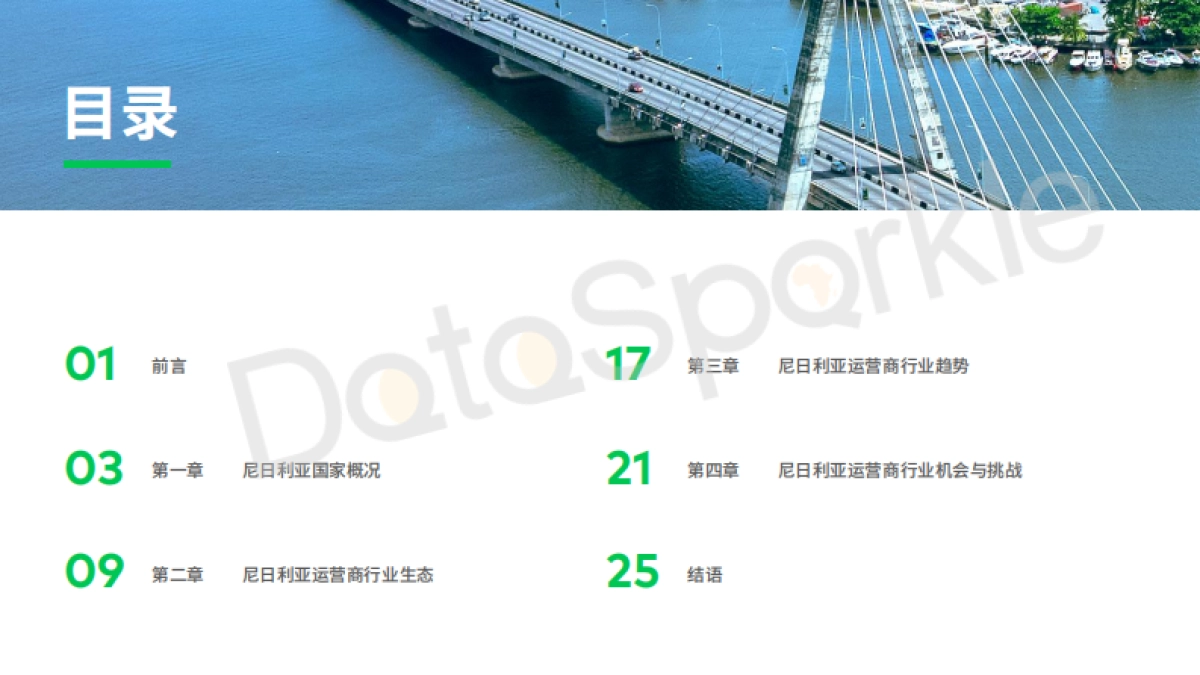 DataSparkle：2024尼日利亚运营商行业报告_第3页