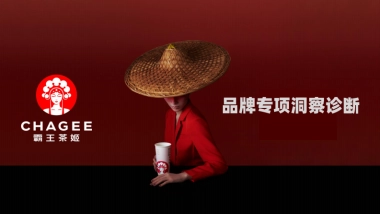 霸王茶姬专项洞察诊断