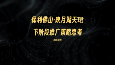保利映月湖天珺下阶段推广策略思考