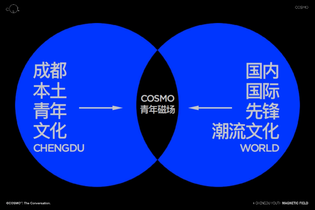 成都COSMO项目手册_第6页