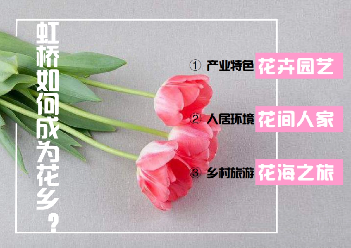 崇明区建设镇虹桥花乡景观风貌提升工程方案设计_第7页