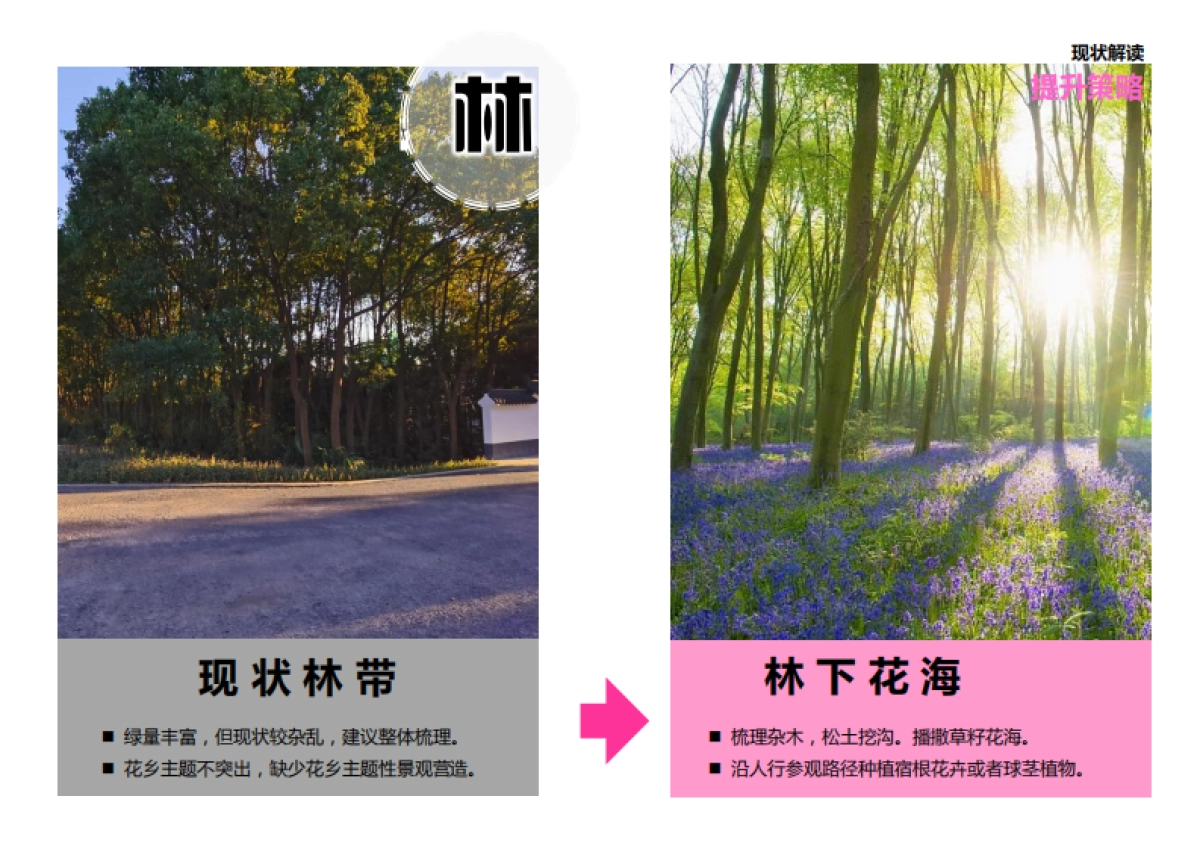 崇明区建设镇虹桥花乡景观风貌提升工程方案设计_第9页