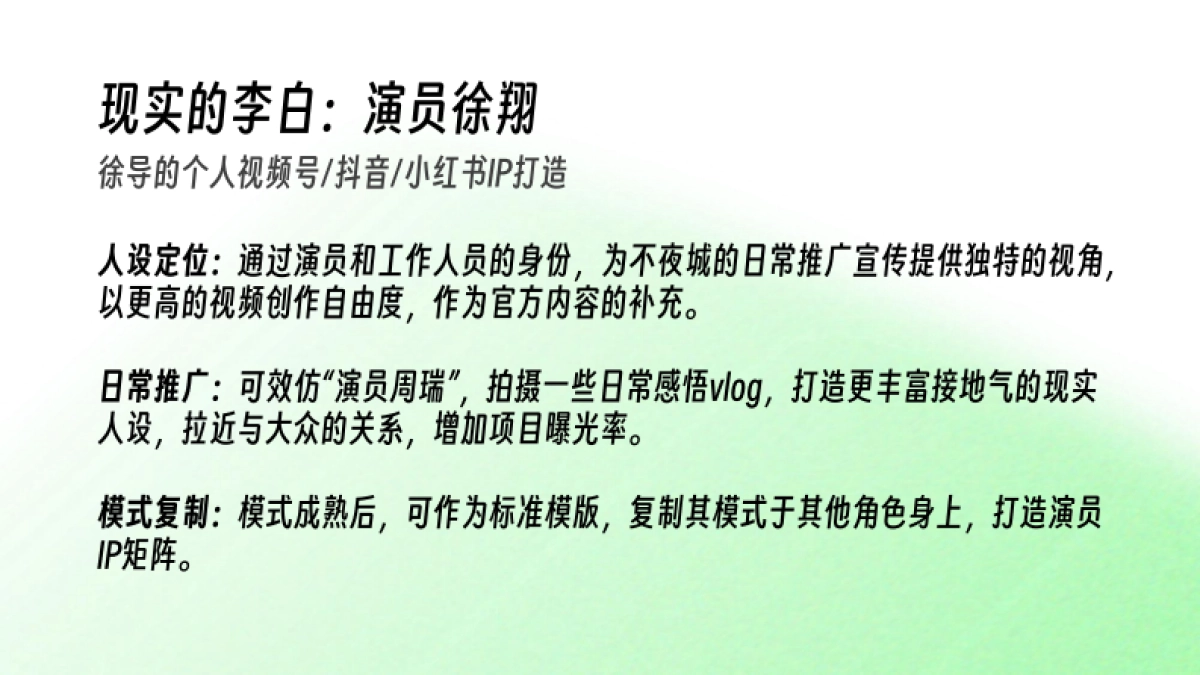 大唐不夜城李白IP打造规划方案_第5页