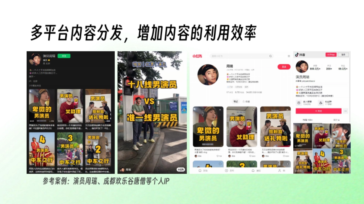 大唐不夜城李白IP打造规划方案_第6页