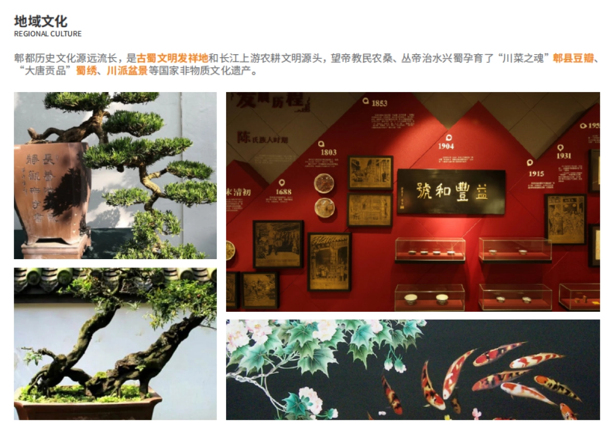 郫都区袁隆平杂交水稻科学园景观改造_第10页