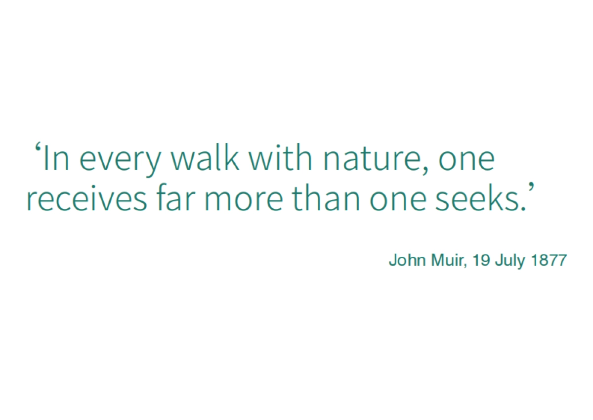 深圳森林运动公园规划设计方案_第2页