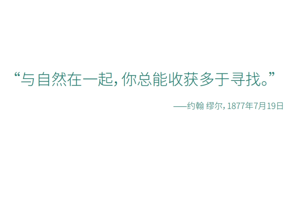 深圳森林运动公园规划设计方案_第3页