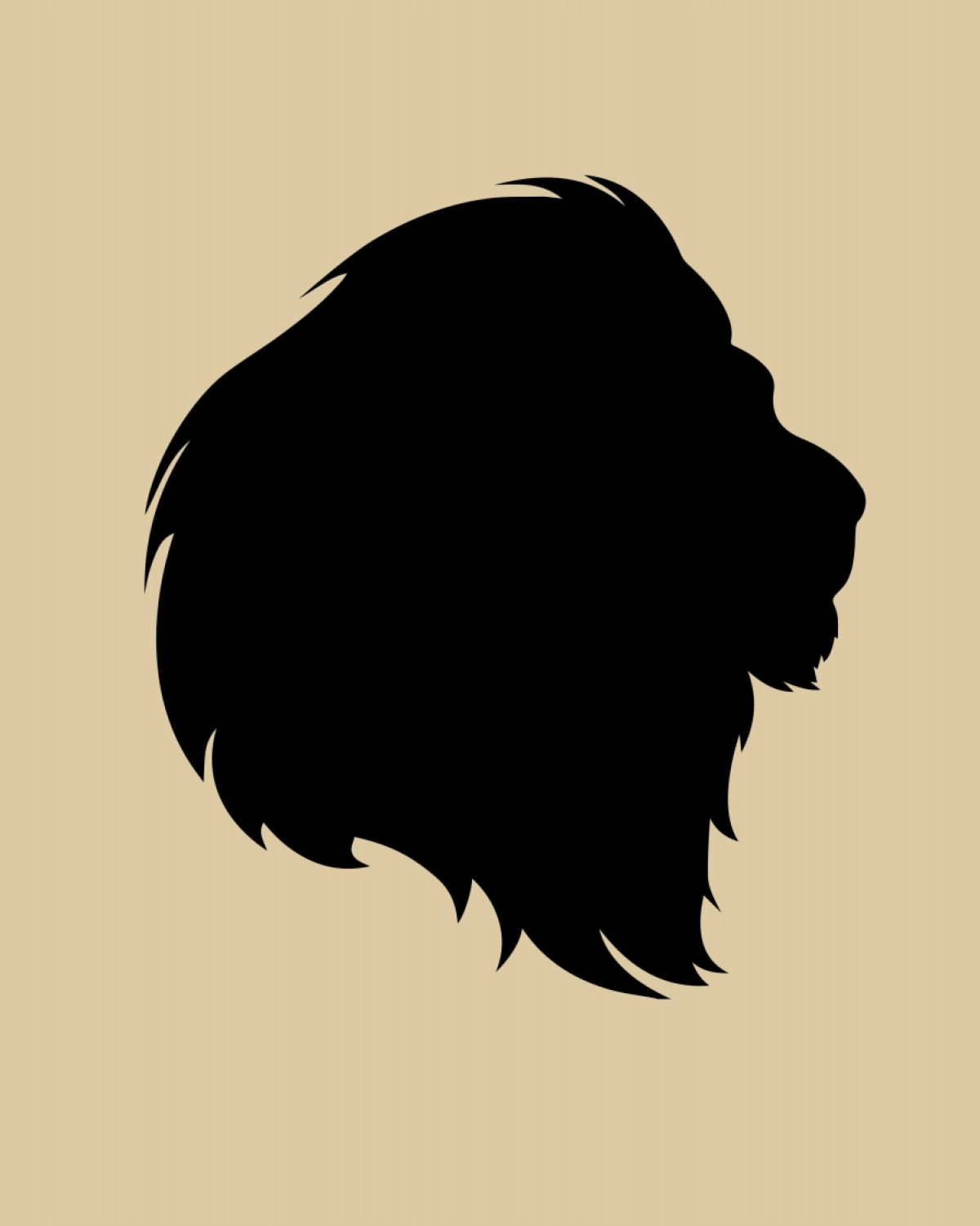 香奈儿品牌手册_第9页