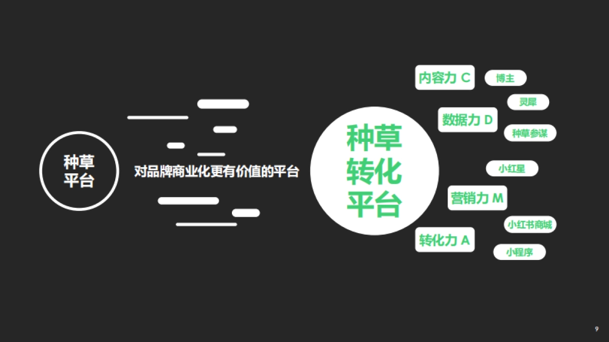 小红书:小红书破圈营销方法论_第9页