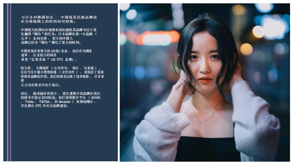 【Totem】2024年中国出海品牌分析报告英文版_第6页