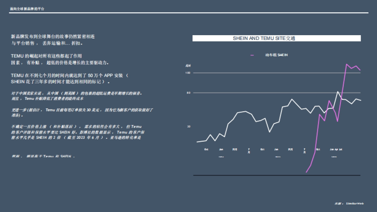 【Totem】2024年中国出海品牌分析报告英文版_第8页