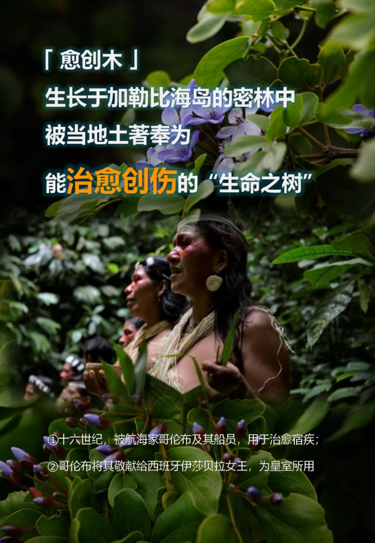 【抖音】溪木源愈创木祛痘精华产品bf_第5页