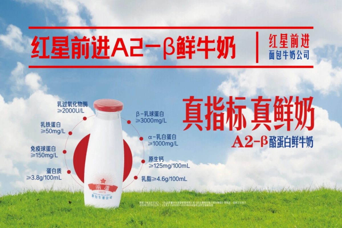 2024红星前进品牌手册_第10页