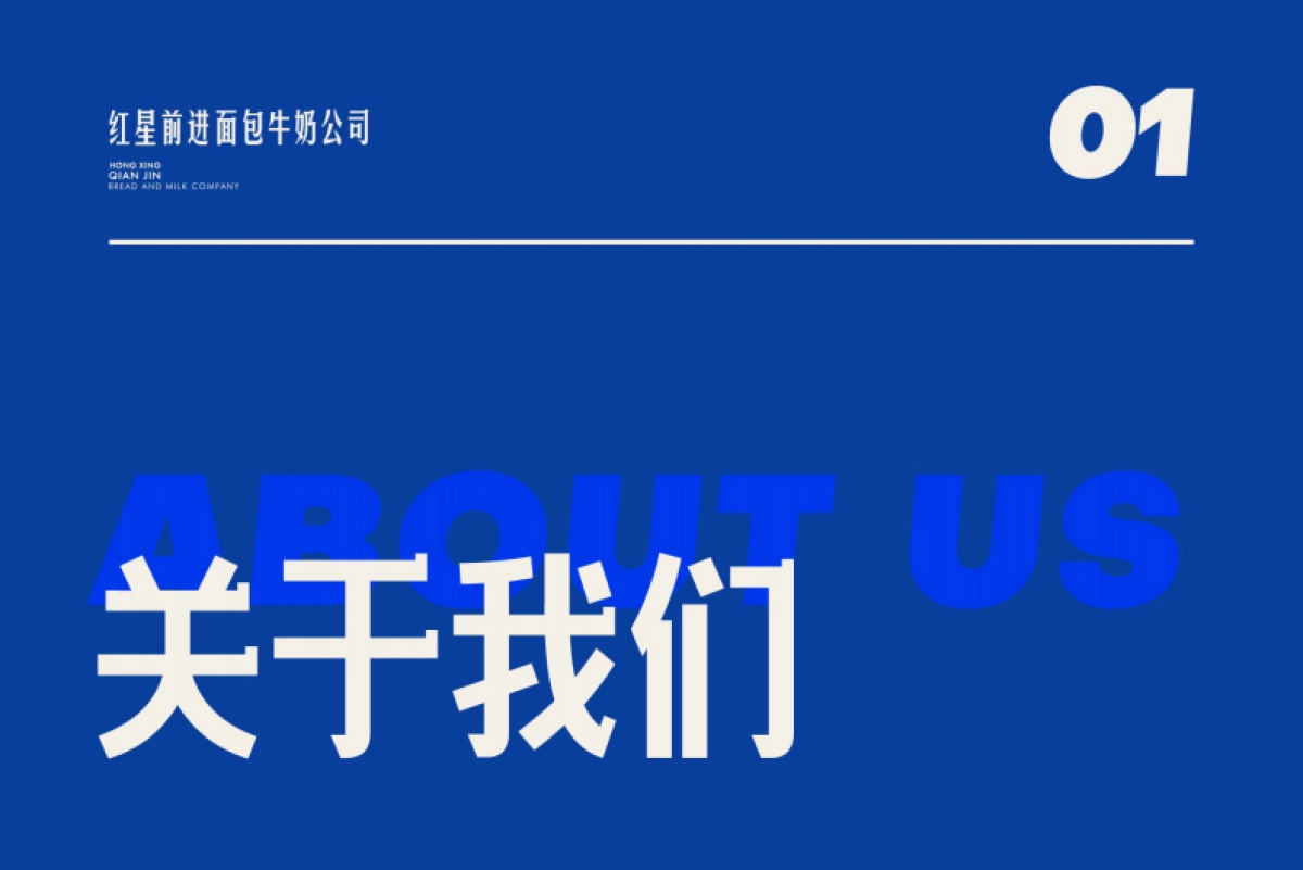 2024红星前进品牌手册_第3页