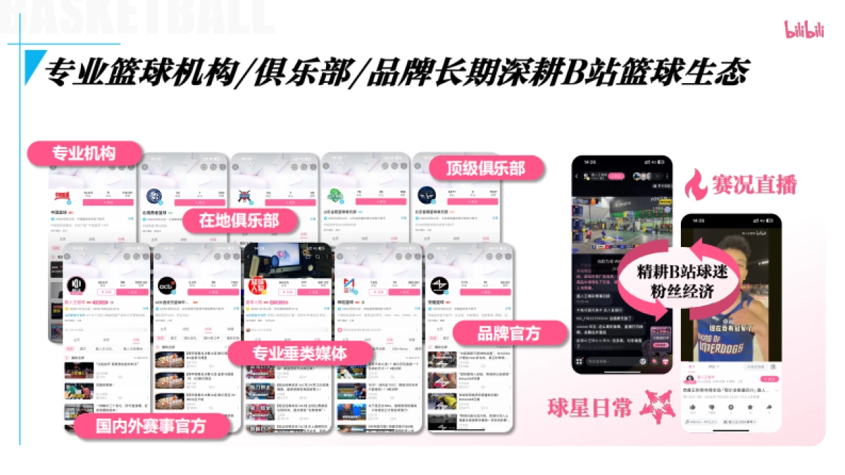 bilibili-PUGV篮球IP项目招商企划_第7页