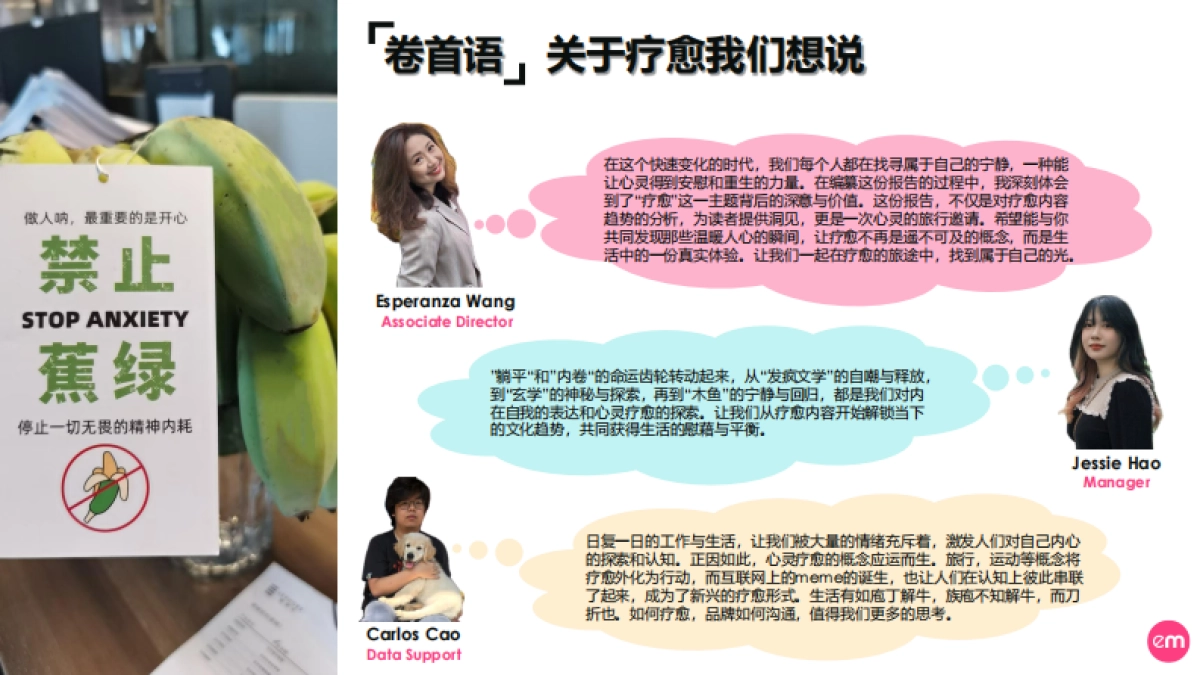 EssenceMediacom：2024心灵解锁-疗愈元年的内容趋势报告_第2页