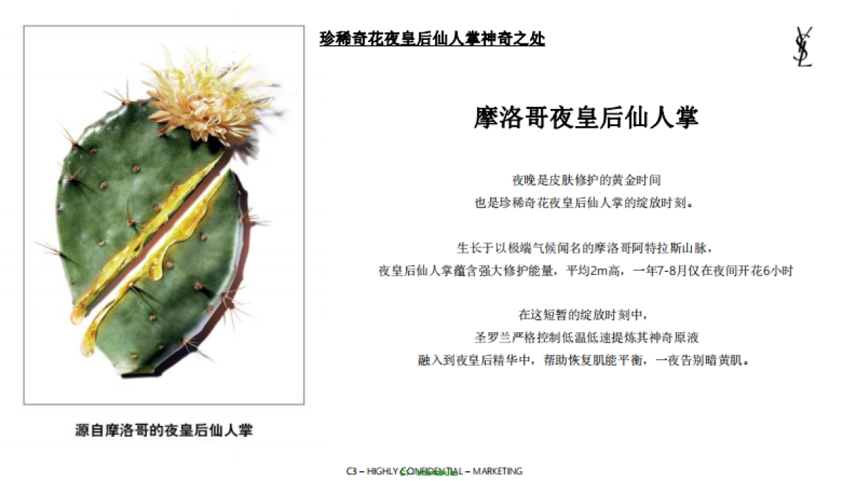 YSL夜皇后精华产品Brief_第5页