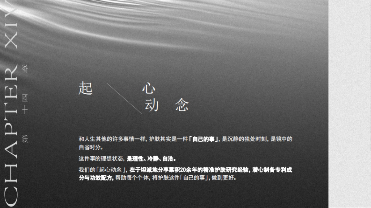 第十四章Brand Book_第2页