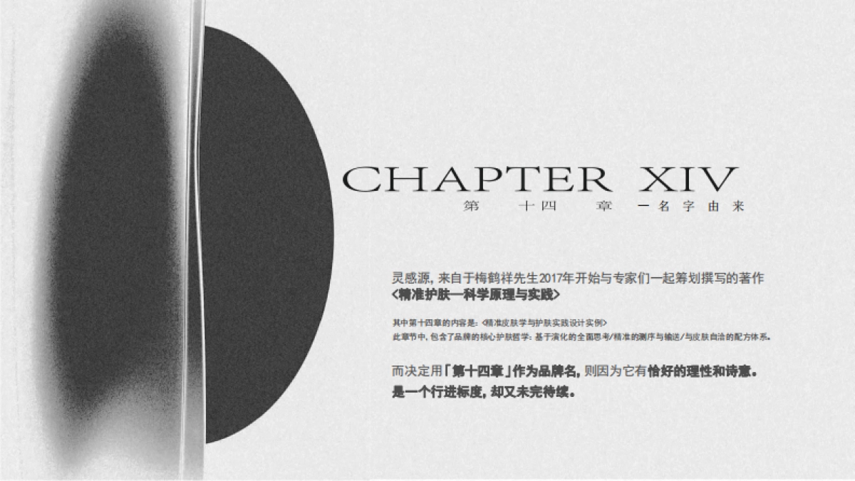 第十四章Brand Book_第3页