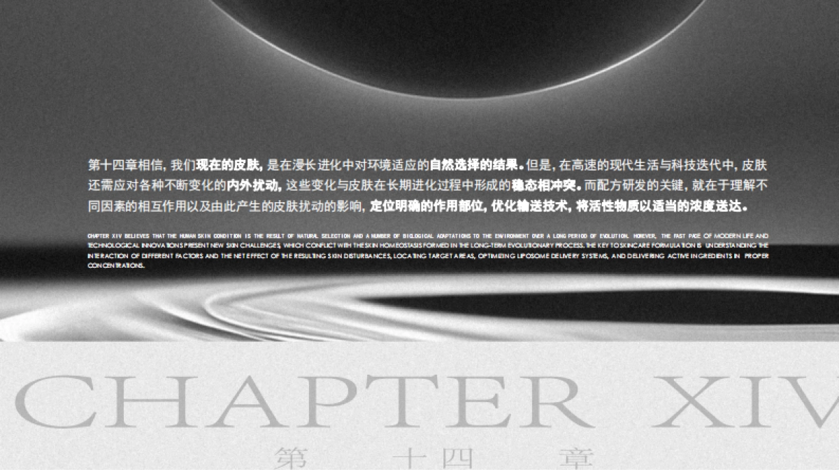 第十四章Brand Book_第4页