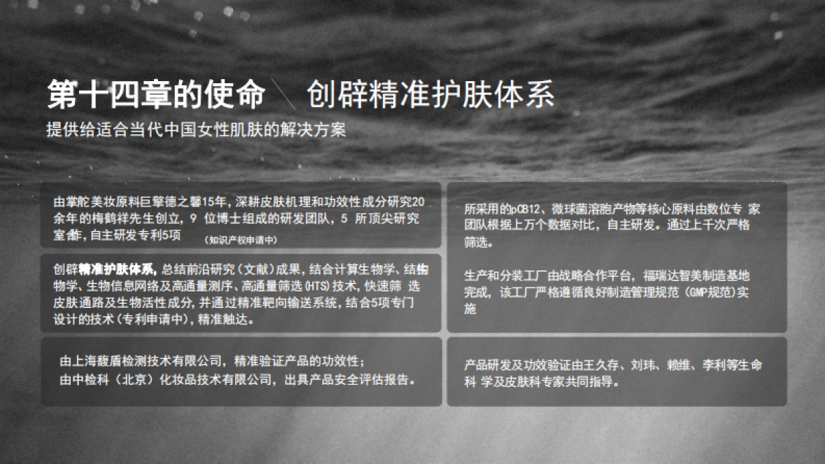 第十四章Brand Book_第5页