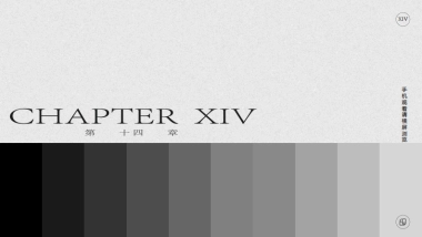 第十四章Brand Book