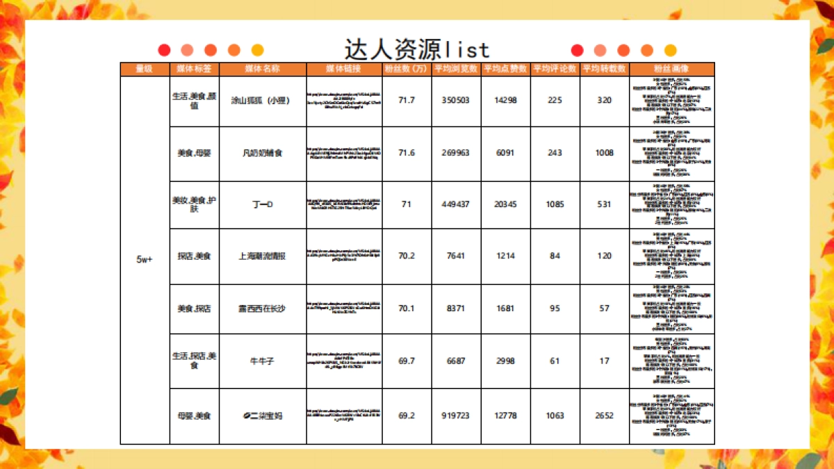 金丝猴抖音达人投放规划_第10页
