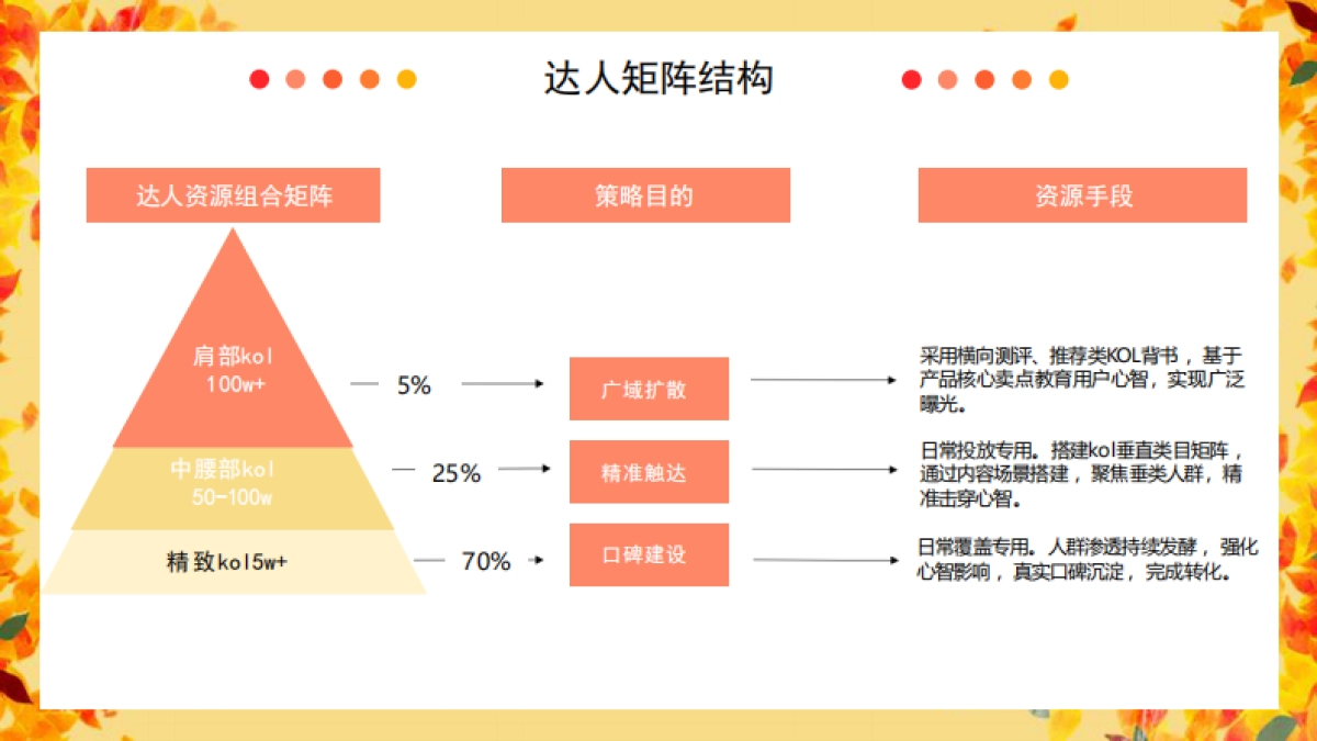 金丝猴抖音达人投放规划_第4页