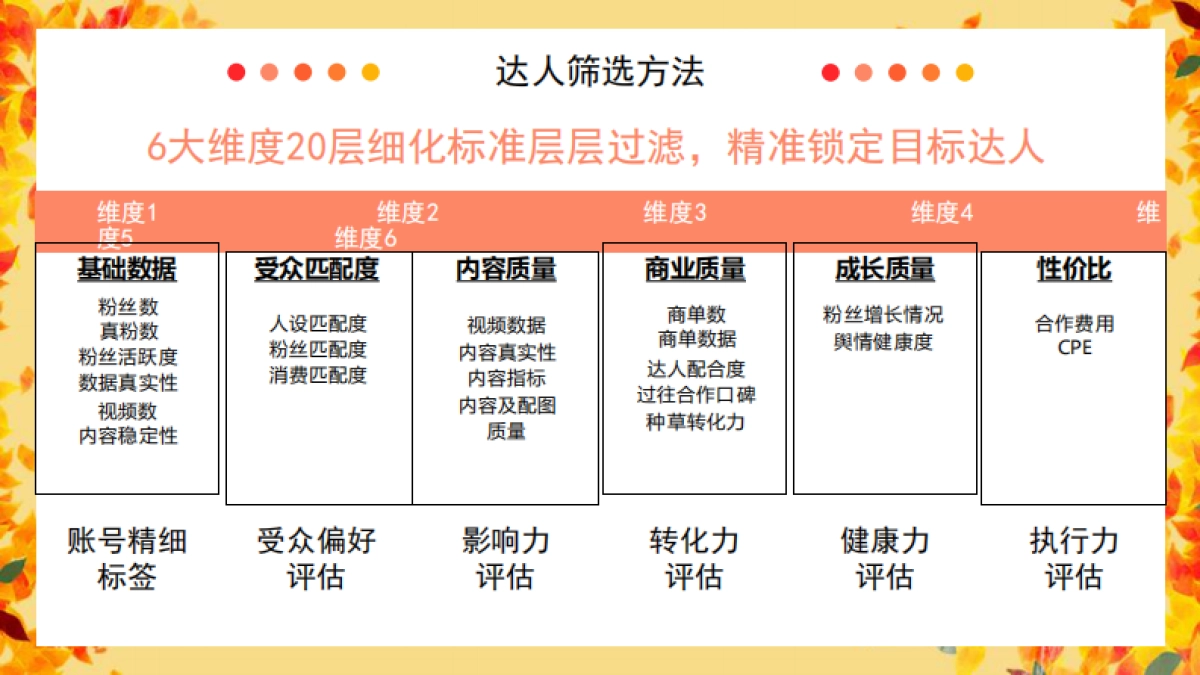 金丝猴抖音达人投放规划_第7页