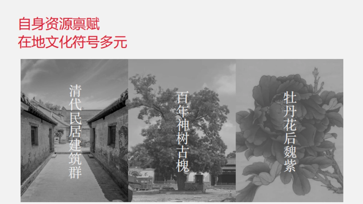 洛阳魏坡新序发展规划_第9页